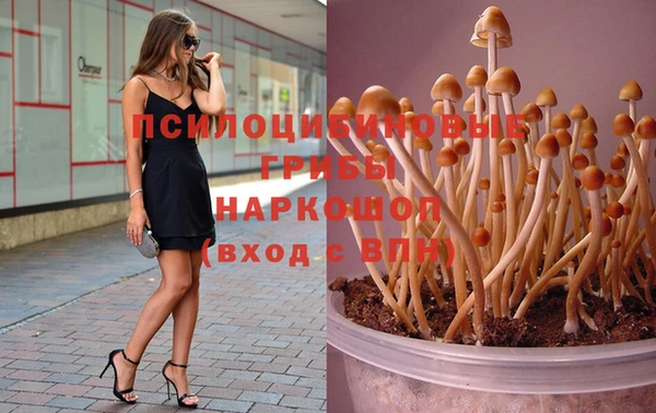 прущая мука Заводоуковск