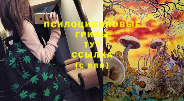 а пвп мука Заволжск