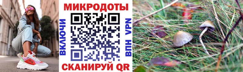 Галлюциногенные грибы ЛСД  Купить  Карабулак 