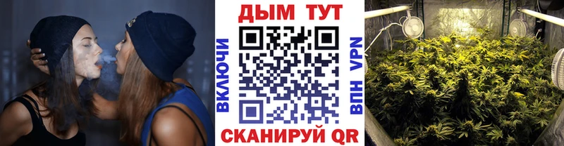 Купить закладки  Карабулак  Каннабис SATIVA & INDICA 